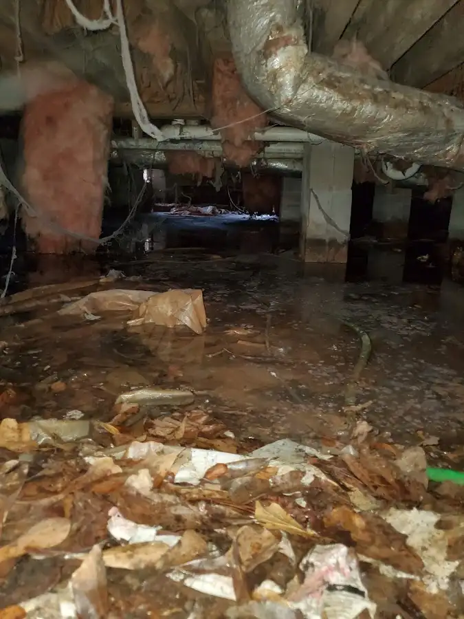 Crawl space flood assessment for Commercial Water Damage Restoration in Fenton